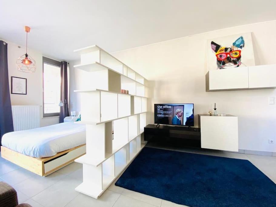 Apartment Large Studio In Center With Terrace-cosy *